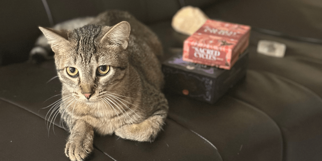 A tabby cat lounging on a couch, with crystals and tarot decks nearby.
